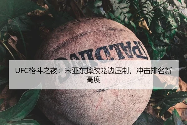 UFC格斗之夜：宋亚东摔跤笼边压制，冲击排名新高度