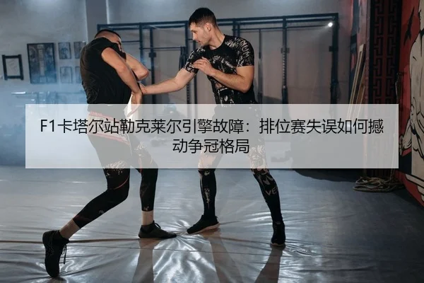 ka-ta-er-zhan-lei-ke-lai-er-yin-qing-gu-zhang-pai-wei-sai-shi-wu-ru-he-han-dong-zheng-guan-ge-ju-2-449.jpg